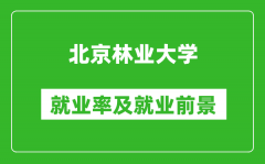 北京林業(yè)大學(xué)就業(yè)率怎么樣_就業(yè)前景好嗎？